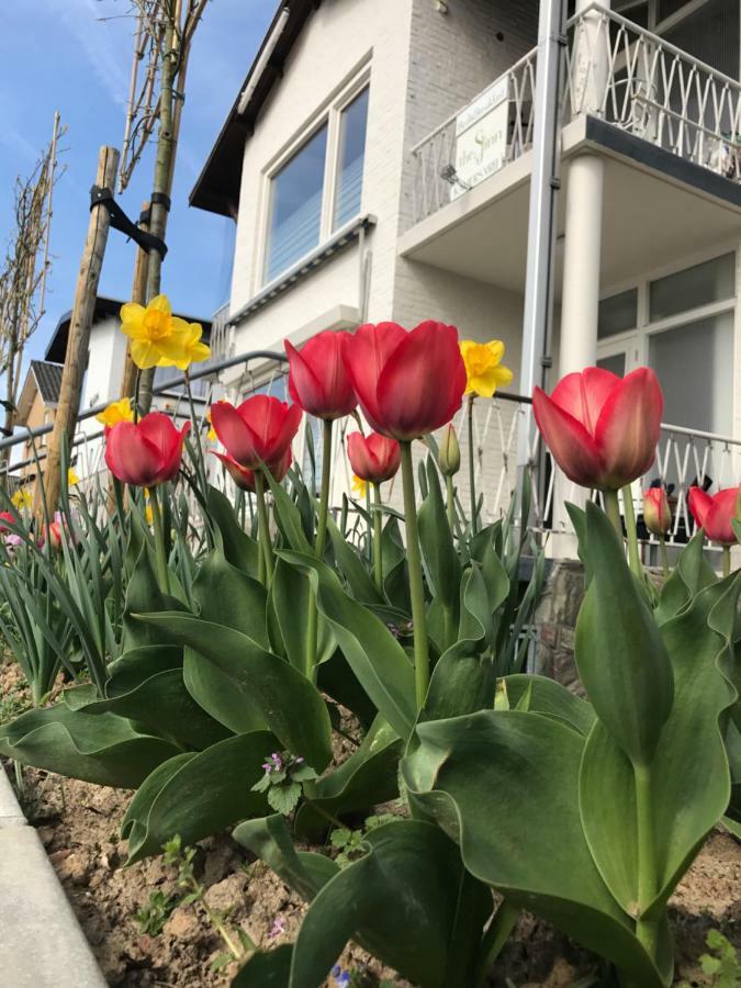 Boutiquehotel B&B The Sjinn Schin op Geul Luaran gambar